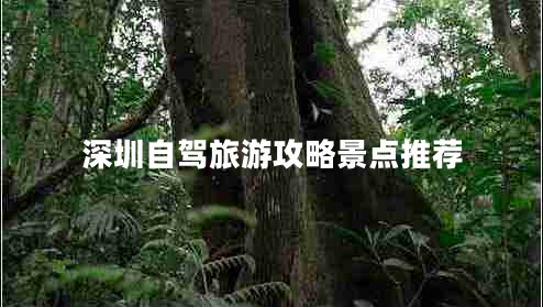 深圳自驾旅游攻略景点推荐