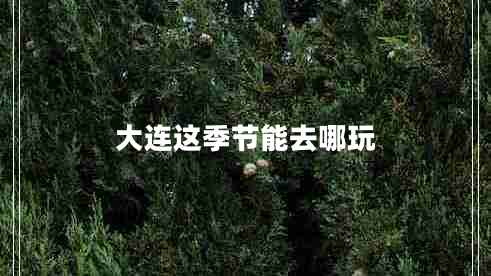 大连这季节能去哪玩