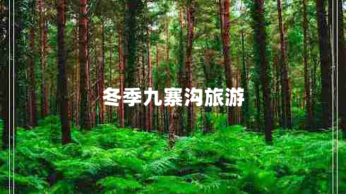 冬季九寨沟旅游