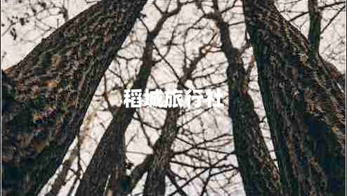 稻城旅行社