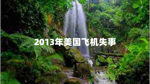 2013年美国飞机失事
