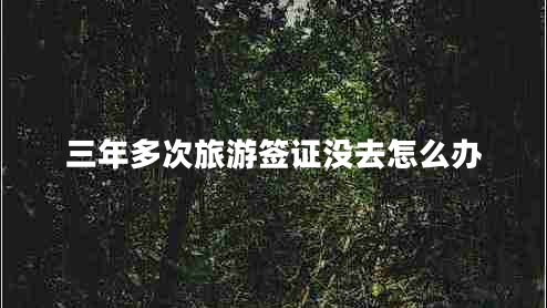 三年多次旅游签证没去怎么办
