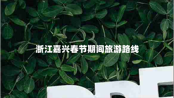 浙江嘉兴春节期间旅游路线