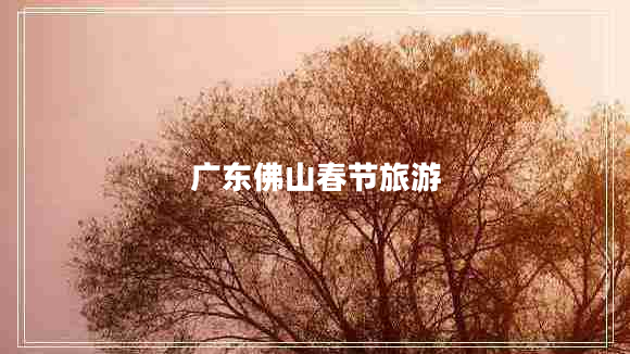 广东佛山春节旅游
