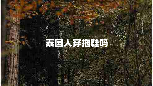 泰国人穿拖鞋吗
