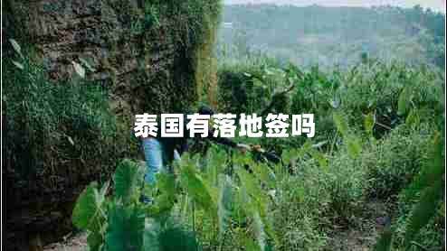 泰国有落地签吗