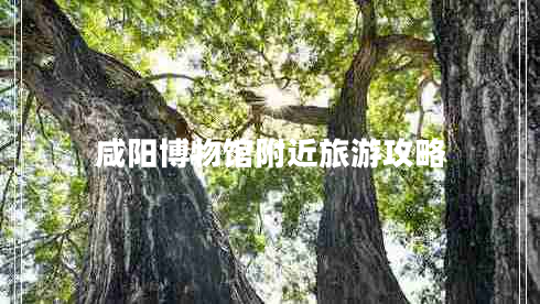 咸阳博物馆附近旅游攻略
