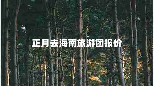 正月去海南旅游团报价