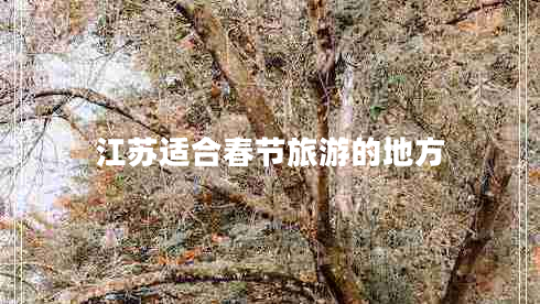江苏适合春节旅游的地方