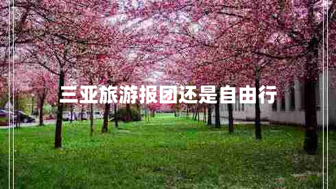 三亚旅游报团还是自由行