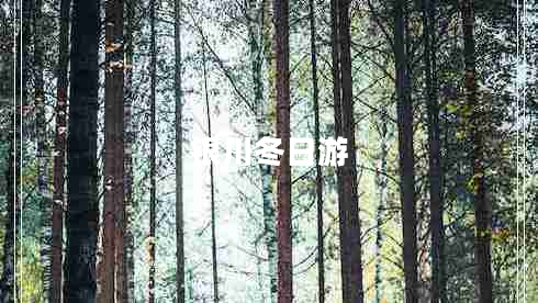 银川冬日游
