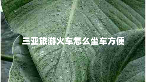 三亚旅游火车怎么坐车方便