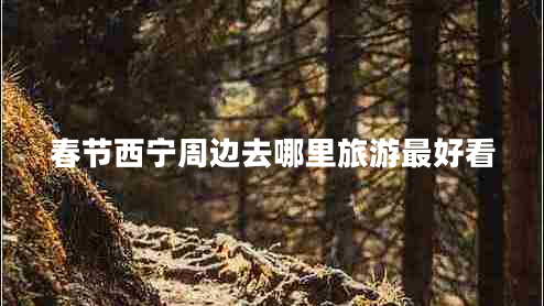 春节西宁周边去哪里旅游最好看