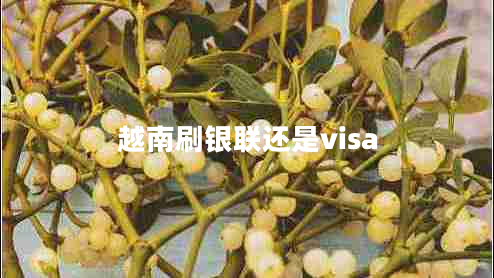 越南刷银联还是visa