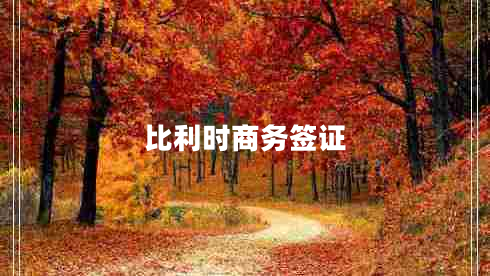 比利时商务签证
