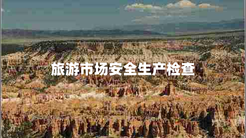 旅游市场安全生产检查