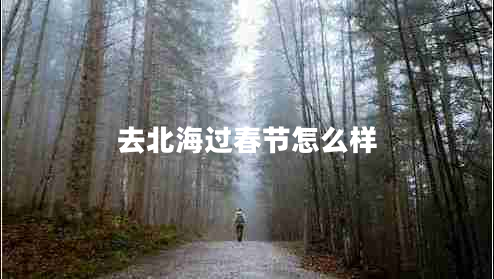 去北海过春节怎么样