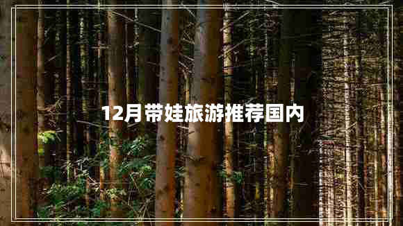 12月带娃旅游推荐国内