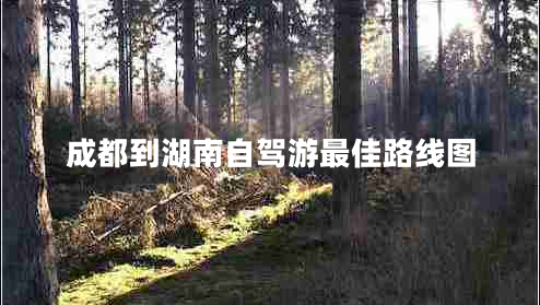 成都到湖南自驾游最佳路线图