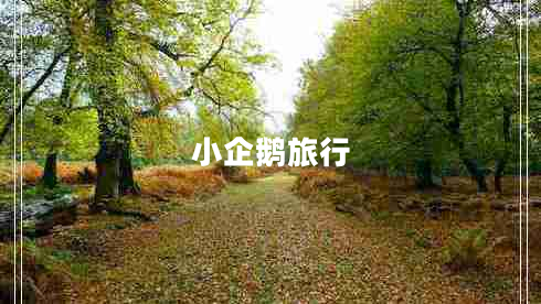 小企鹅旅行