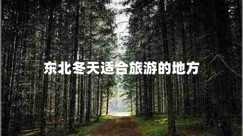 东北冬天适合旅游的地方