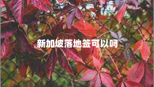 新加坡落地签可以吗