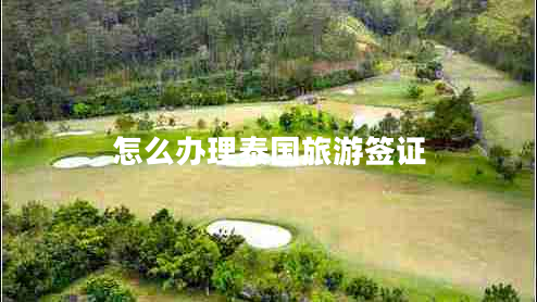怎么办理泰国旅游签证