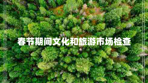 春节期间文化和旅游市场检查