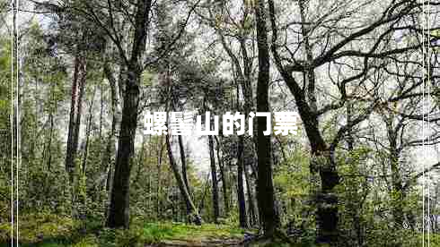 螺髻山的门票