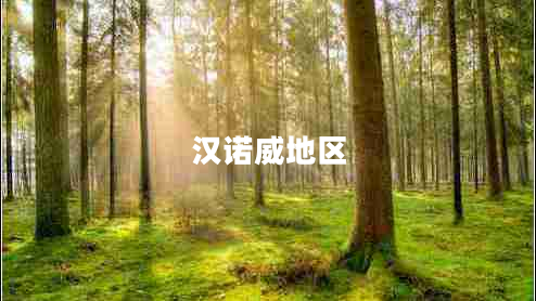 汉诺威地区