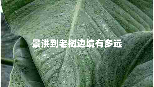景洪到老挝边境有多远