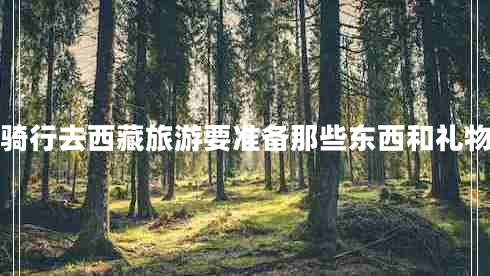 骑行去西藏旅游要准备那些东西和礼物