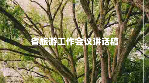 省旅游工作会议讲话稿