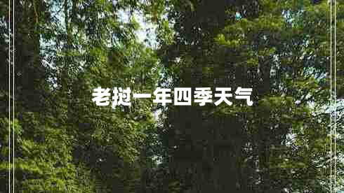老挝一年四季天气