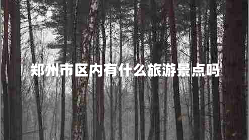 郑州市区内有什么旅游景点吗