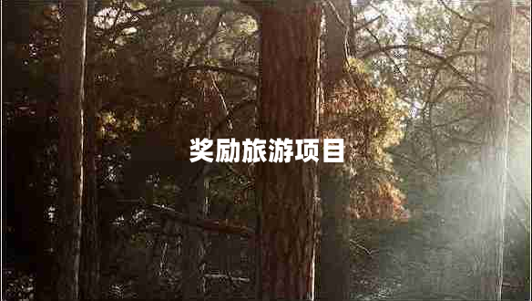 奖励旅游项目
