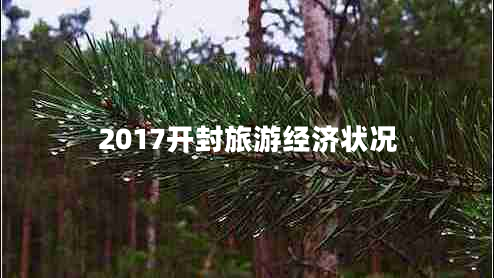 2017开封旅游经济状况
