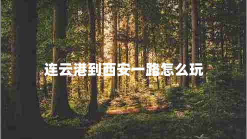 连云港到西安一路怎么玩