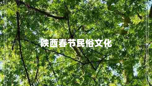 陕西春节民俗文化