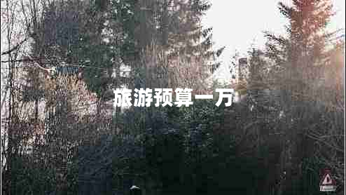 旅游预算一万