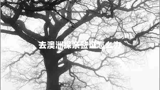 去澳洲探亲签证怎么办