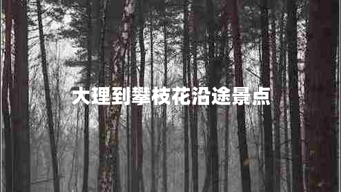 大理到攀枝花沿途景点