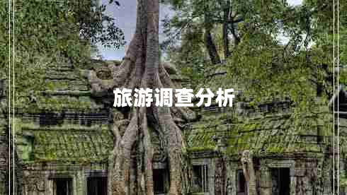 旅游调查分析