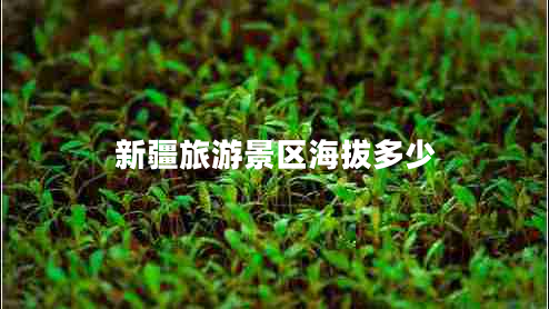 新疆旅游景区海拔多少