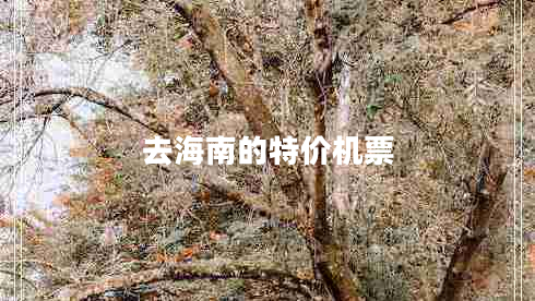 去海南的特价机票