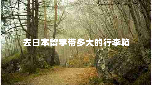 去日本留学带多大的行李箱