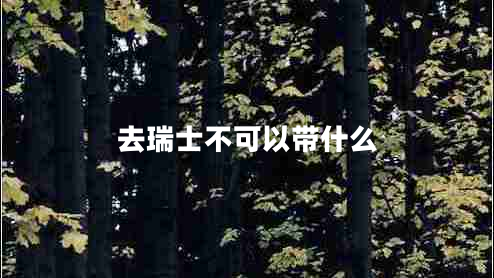 去瑞士不可以带什么