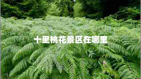 十里桃花景区在哪里