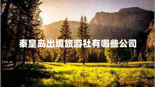 秦皇岛出境旅游社有哪些公司