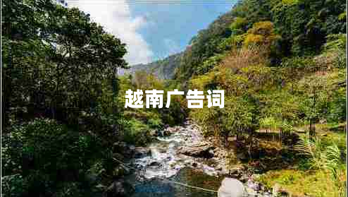 越南广告词